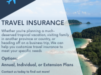 Insurance-Team-9-travel.png