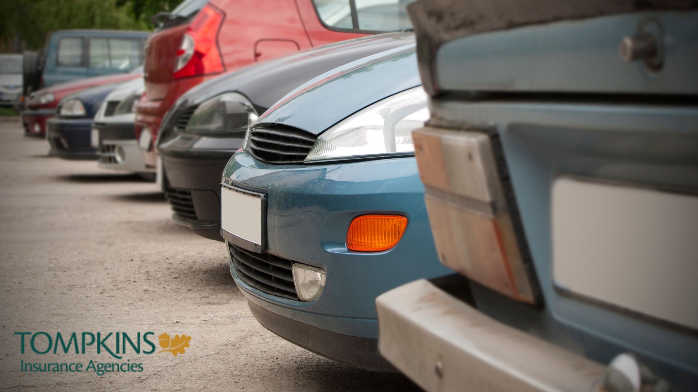 Car Insurance Agencies