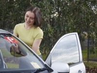 p-plater-car-1600×900-1-1.jpg