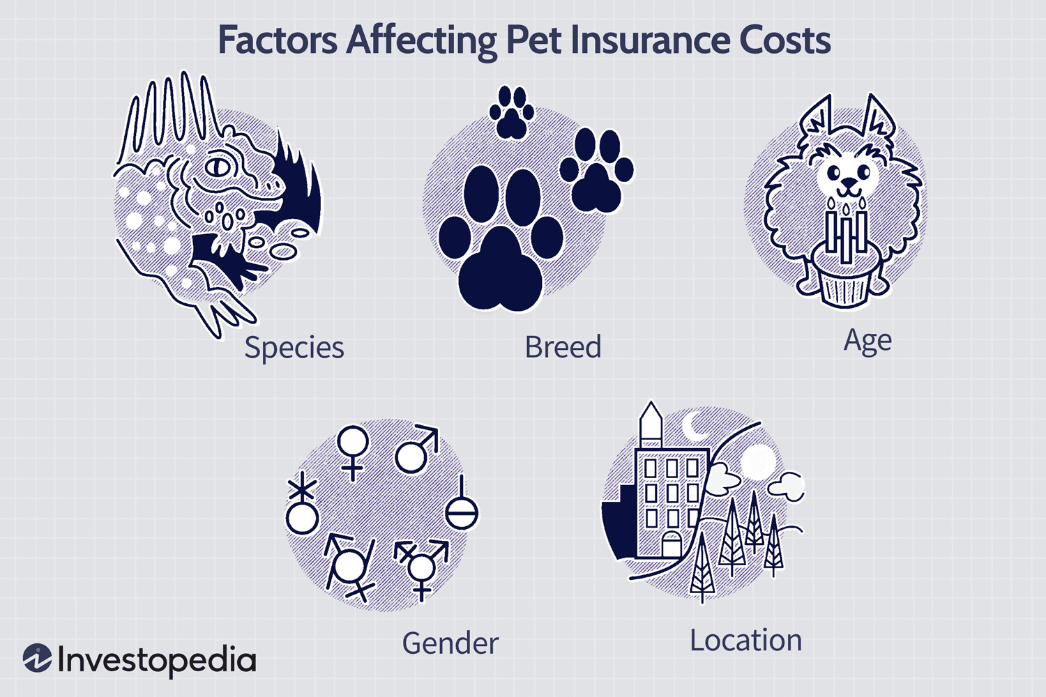 Pet Health Insurance