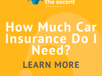 How_Much_Car_Insurance_Do_I_Need_YvpOfSF.png